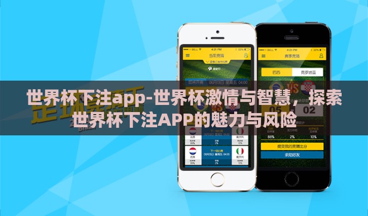 世界杯下注app-世界杯激情与智慧，探索世界杯下注APP的魅力与风险