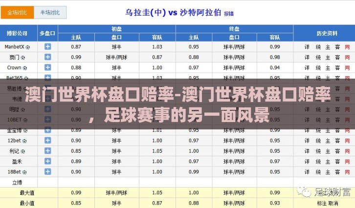 澳门世界杯盘口赔率-澳门世界杯盘口赔率，足球赛事的另一面风景