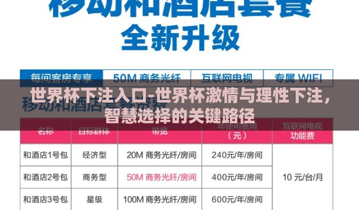世界杯下注入口-世界杯激情与理性下注，智慧选择的关键路径