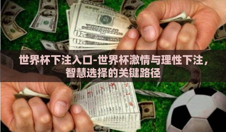 世界杯下注入口-世界杯激情与理性下注，智慧选择的关键路径