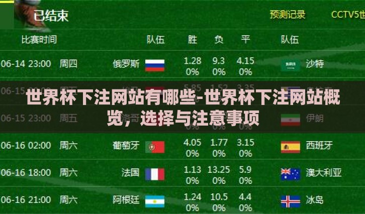 世界杯下注网站有哪些-世界杯下注网站概览，选择与注意事项