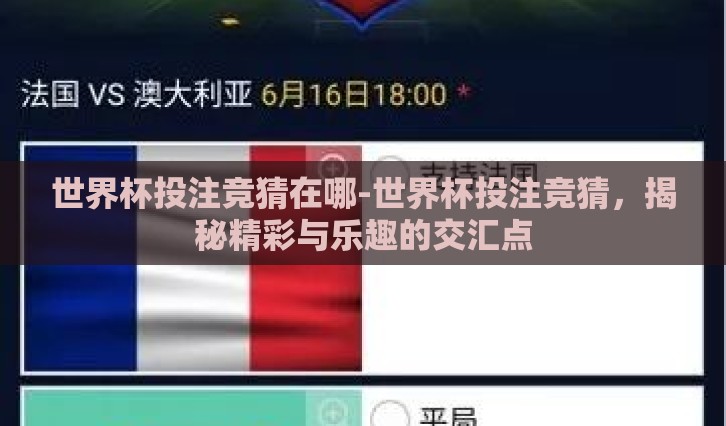 世界杯投注竞猜在哪-世界杯投注竞猜，揭秘精彩与乐趣的交汇点