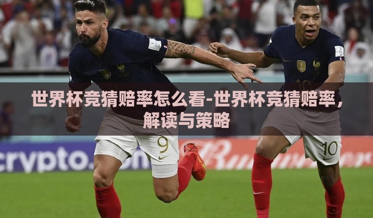 世界杯竞猜赔率怎么看-世界杯竞猜赔率，解读与策略