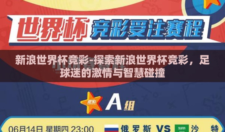 新浪世界杯竞彩-探索新浪世界杯竞彩，足球迷的激情与智慧碰撞