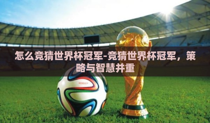 怎么竞猜世界杯冠军-竞猜世界杯冠军，策略与智慧并重