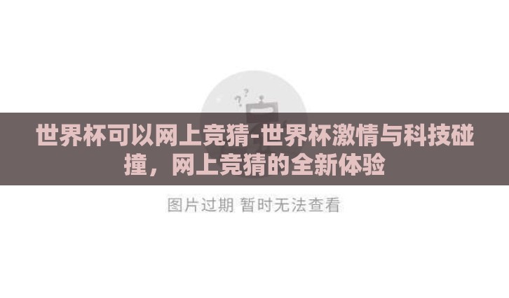 世界杯可以网上竞猜-世界杯激情与科技碰撞，网上竞猜的全新体验