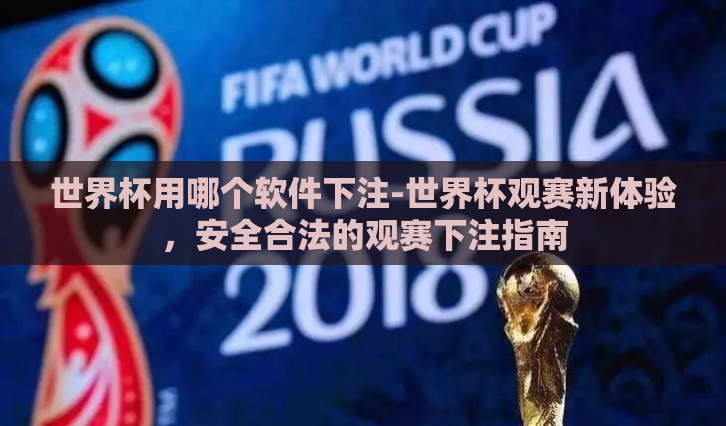 世界杯用哪个软件下注-世界杯观赛新体验，安全合法的观赛下注指南