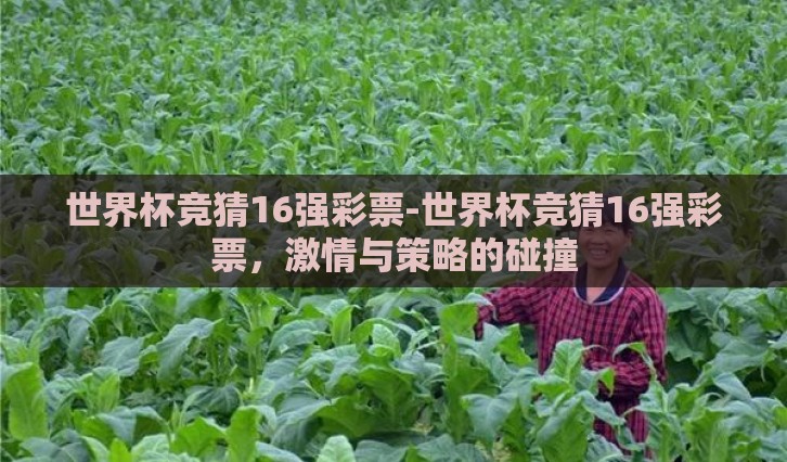 世界杯竞猜16强彩票-世界杯竞猜16强彩票，激情与策略的碰撞