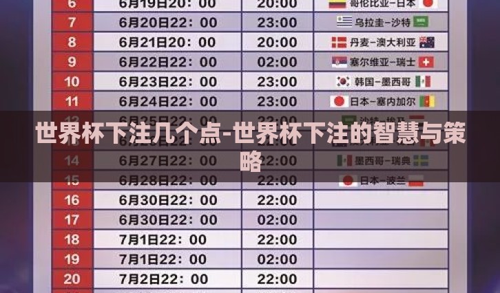 世界杯下注几个点-世界杯下注的智慧与策略