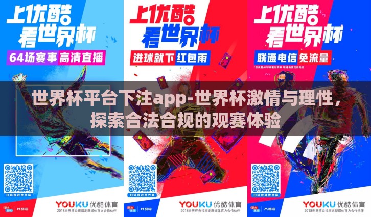 世界杯平台下注app-世界杯激情与理性，探索合法合规的观赛体验