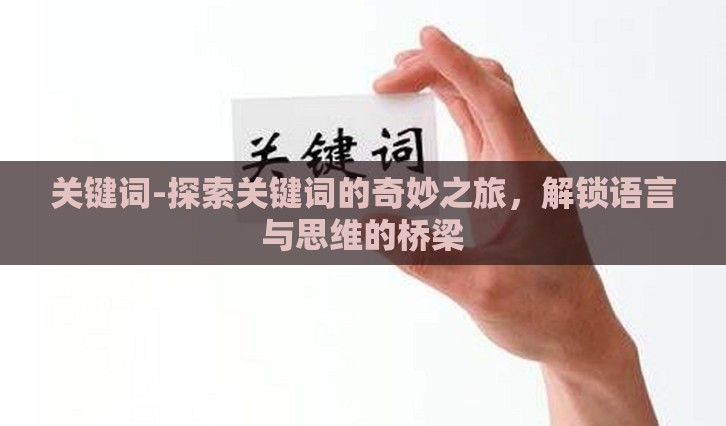 关键词-探索关键词的奇妙之旅，解锁语言与思维的桥梁