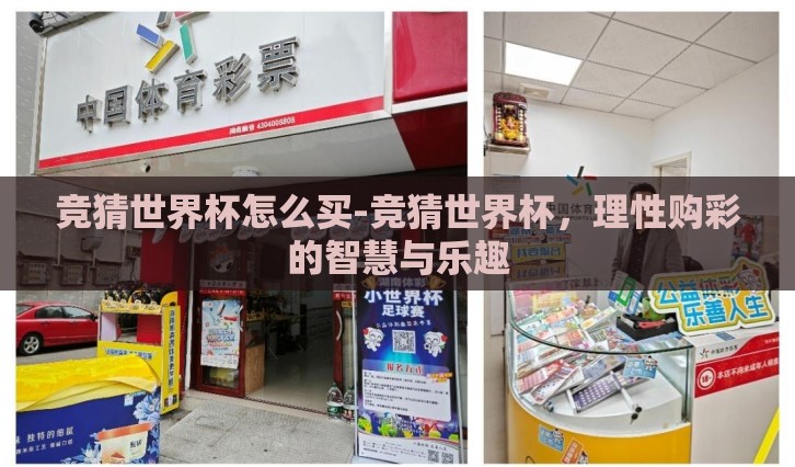 竞猜世界杯怎么买-竞猜世界杯,理性购彩的智慧与乐趣 竞猜世界杯怎么买-竞猜世界杯,理性购彩的智慧与乐趣
